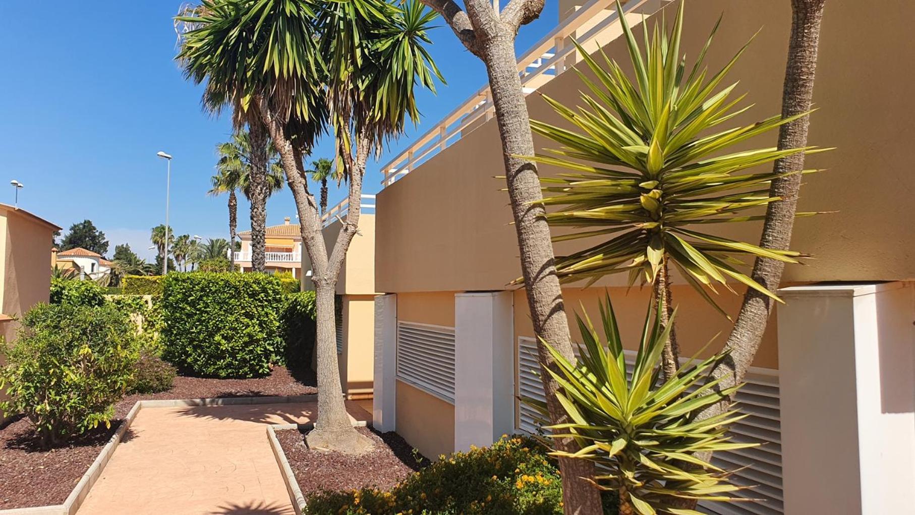 Apartamentos Par Tres - Oliva Nova Extérieur photo